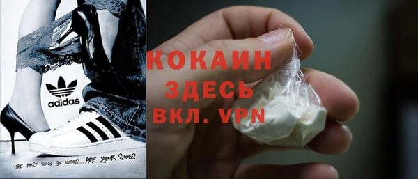ПСИЛОЦИБИНОВЫЕ ГРИБЫ Корсаков