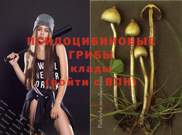 каннабис Коряжма