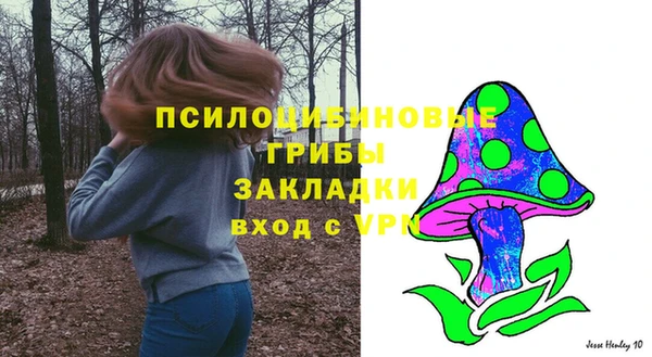 бошки Кодинск