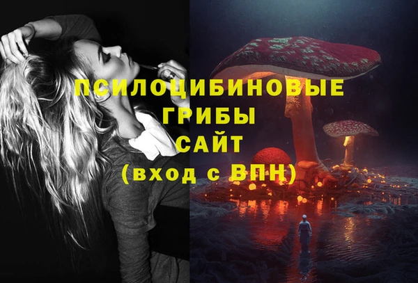 ПСИЛОЦИБИНОВЫЕ ГРИБЫ Корсаков