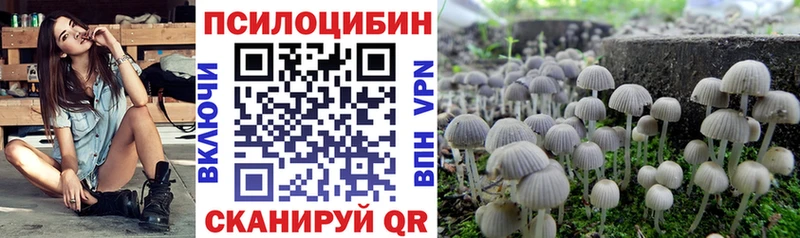 Купить  Гвардейск  Галлюциногенные грибы Cubensis 