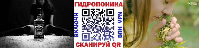 Купить где  Гвардейск  Бошки Шишки SATIVA & INDICA 